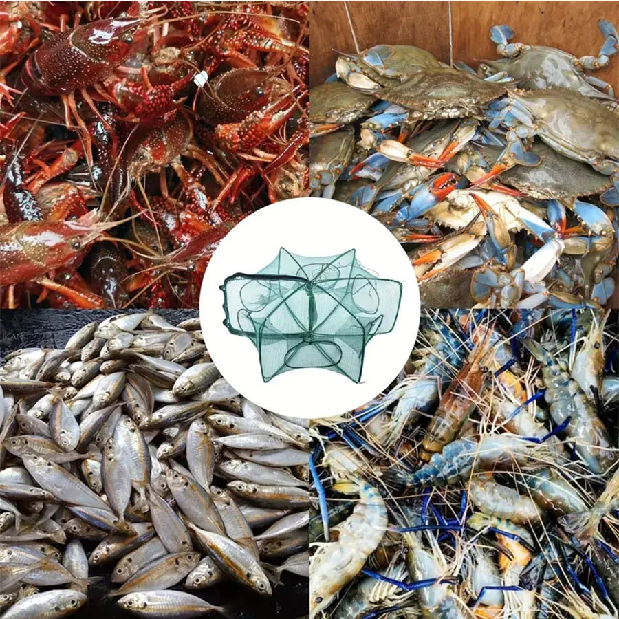 Red Retráctil de Pesca Inteligente - Pesca fácil, sin enredos.