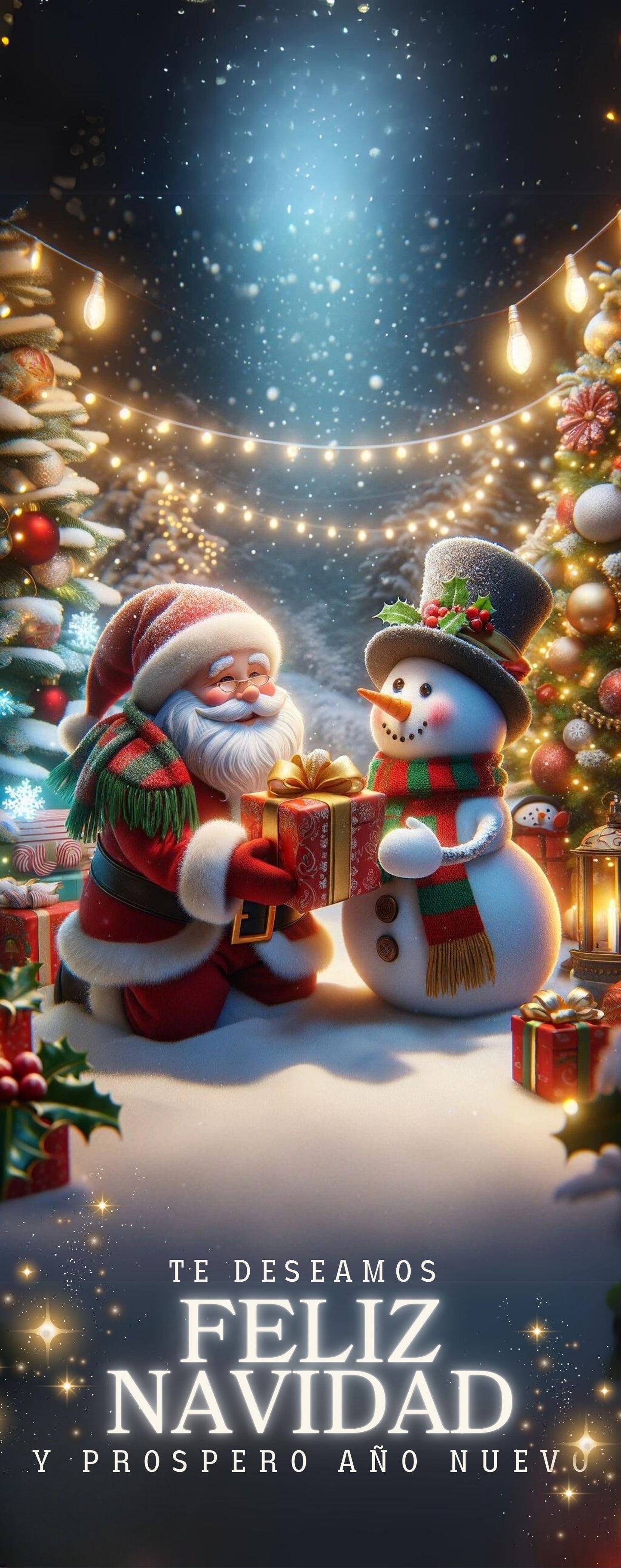 Funda Navideña para Puertas