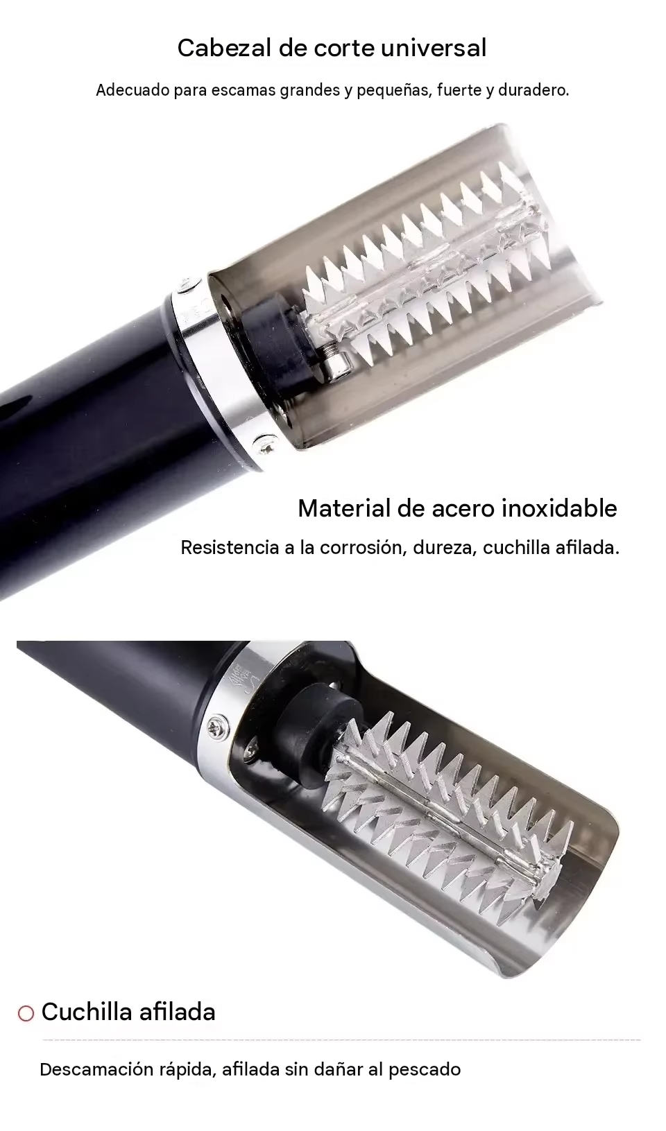 Quita Escamas Eléctrico de Acero Inoxidable